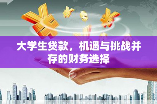 雨花大学生贷款，机遇与挑战并存的财务选择