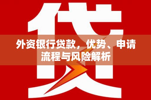 涉县外资银行贷款，优势、申请流程与风险解析