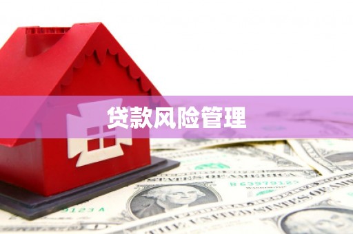 代县贷款风险管理