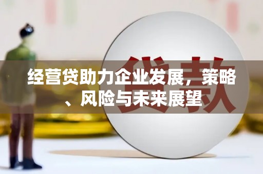 镇安经营贷助力企业发展，策略、风险与未来展望