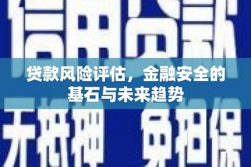 茄萣贷款风险评估，金融安全的基石与未来趋势