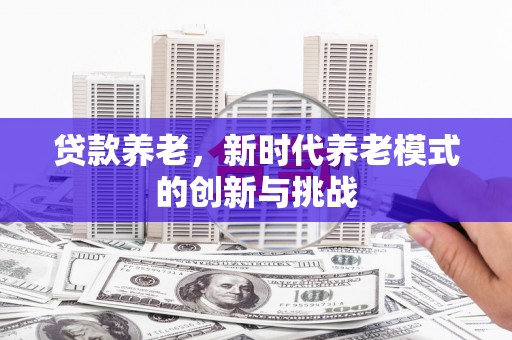 新田贷款养老，新时代养老模式的创新与挑战