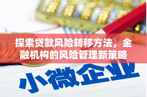 勉县探索贷款风险转移方法，金融机构的风险管理新策略