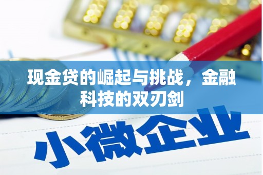 新营现金贷的崛起与挑战，金融科技的双刃剑