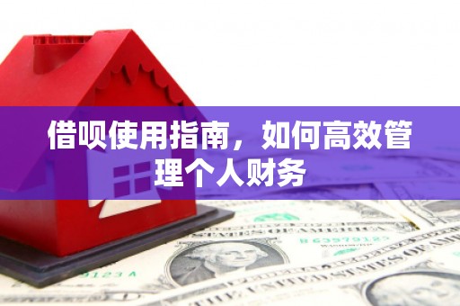 佳冬借呗使用指南，如何高效管理个人财务