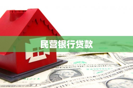 项城民营银行贷款
