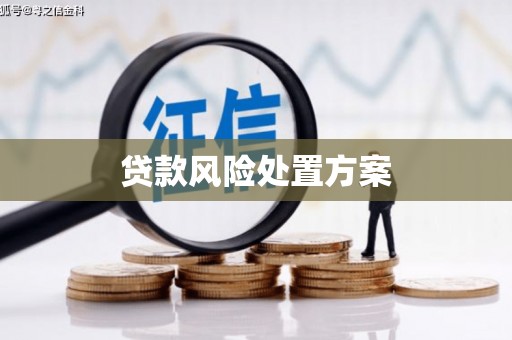 观音贷款风险处置方案