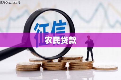 麻山农民贷款