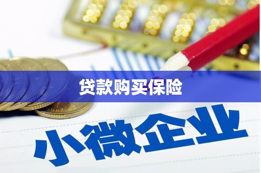 莎车贷款购买保险