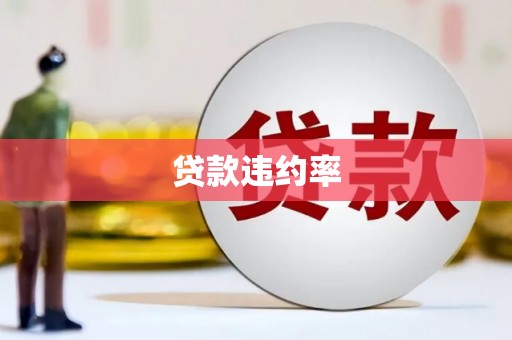 定海贷款违约率