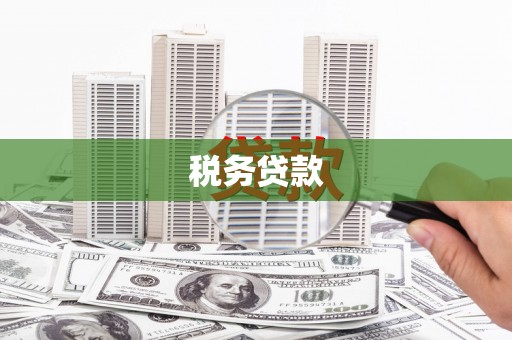 郊区税务贷款