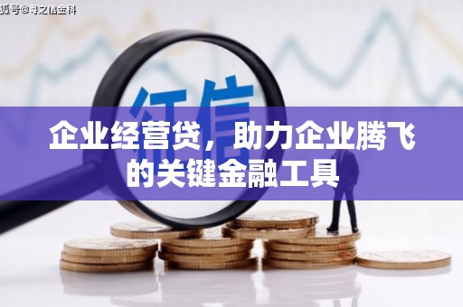 海陵企业经营贷，助力企业腾飞的关键金融工具