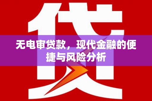 新店无电审贷款，现代金融的便捷与风险分析