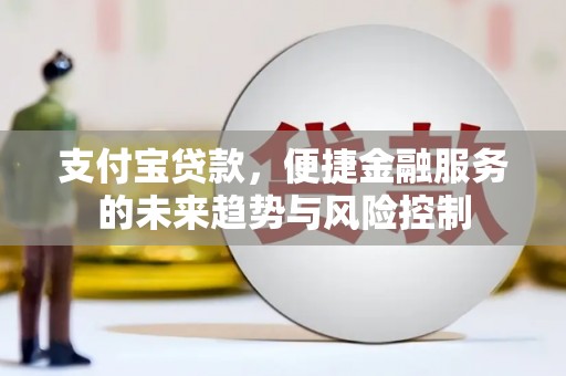 鹤庆支付宝贷款，便捷金融服务的未来趋势与风险控制