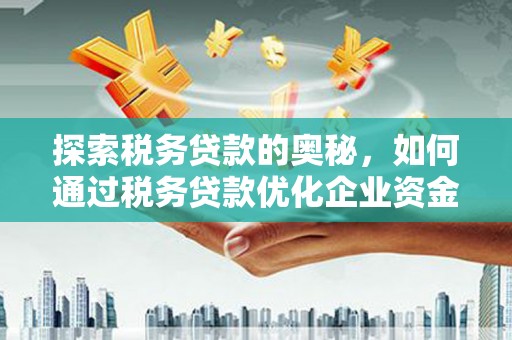 馆陶探索税务贷款的奥秘，如何通过税务贷款优化企业资金流