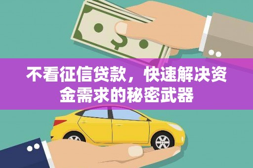 陇南不看征信贷款，快速解决资金需求的秘密武器