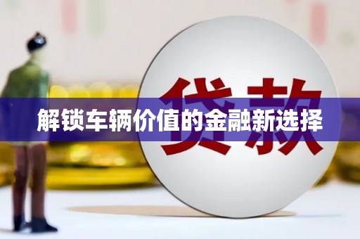 陇南解锁车辆价值的金融新选择