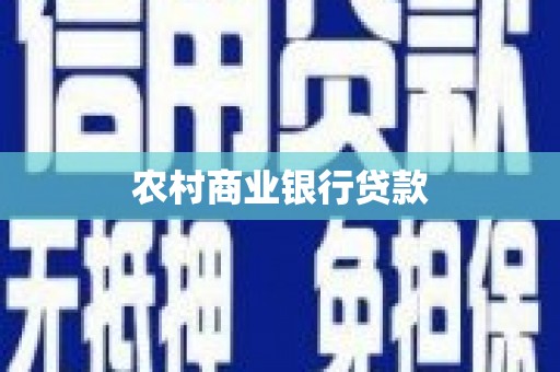新园农村商业银行贷款