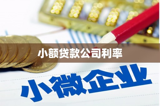 汶川小额贷款公司利率