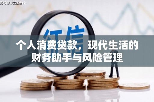 务川个人消费贷款，现代生活的财务助手与风险管理