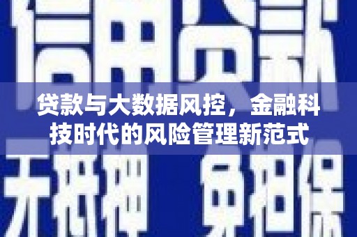 天峨贷款与大数据风控，金融科技时代的风险管理新范式