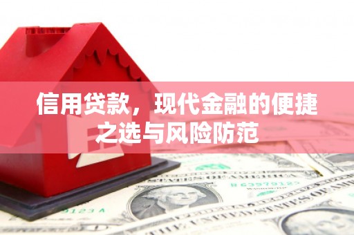 茂南信用贷款，现代金融的便捷之选与风险防范