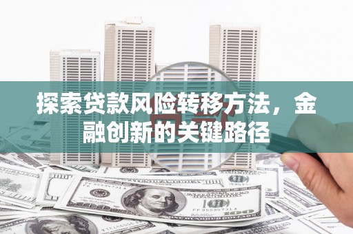 杜集探索贷款风险转移方法，金融创新的关键路径