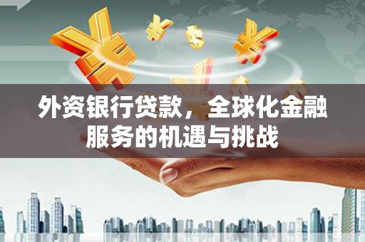 苍南外资银行贷款，全球化金融服务的机遇与挑战