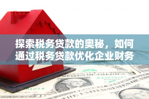 惠来探索税务贷款的奥秘，如何通过税务贷款优化企业财务