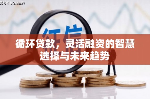仁爱循环贷款，灵活融资的智慧选择与未来趋势