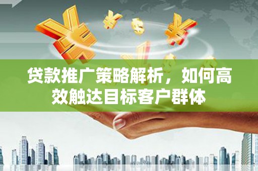 隆德贷款推广策略解析，如何高效触达目标客户群体
