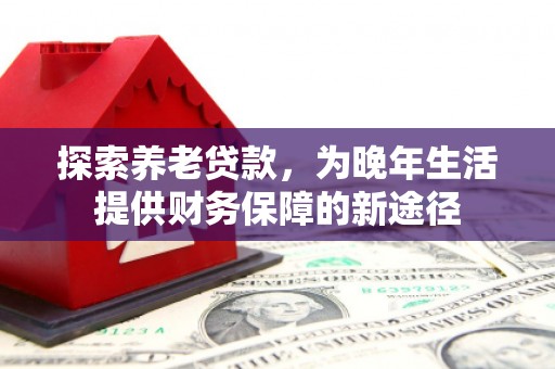 叶县探索养老贷款，为晚年生活提供财务保障的新途径