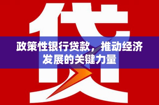 爱民政策性银行贷款，推动经济发展的关键力量