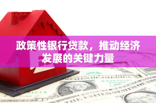 玉州政策性银行贷款，推动经济发展的关键力量
