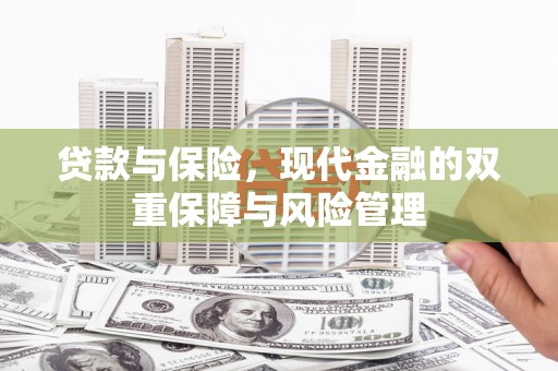巴里坤贷款与保险，现代金融的双重保障与风险管理