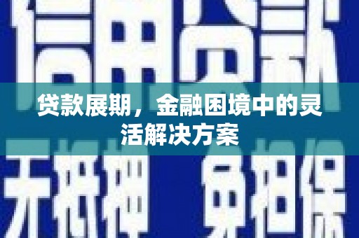 普兰店贷款展期，金融困境中的灵活解决方案