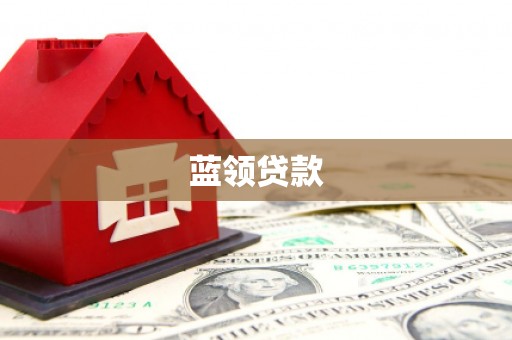 新林蓝领贷款