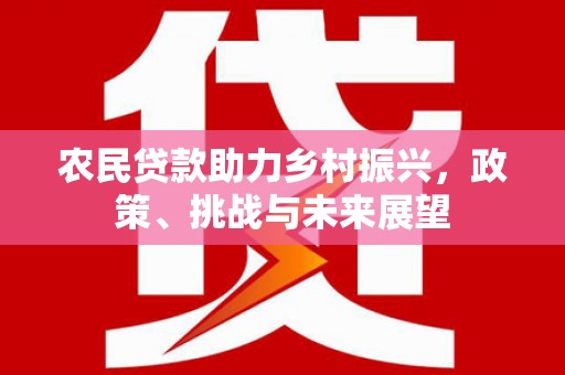 龙泉驿农民贷款助力乡村振兴，政策、挑战与未来展望