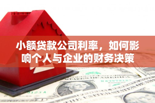 马边小额贷款公司利率，如何影响个人与企业的财务决策