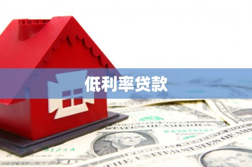 博湖低利率贷款