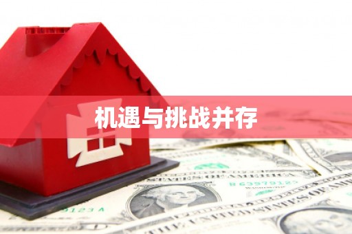 和布克赛尔机遇与挑战并存