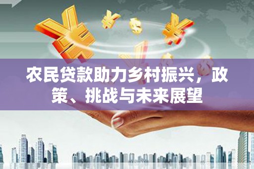 海伦农民贷款助力乡村振兴，政策、挑战与未来展望