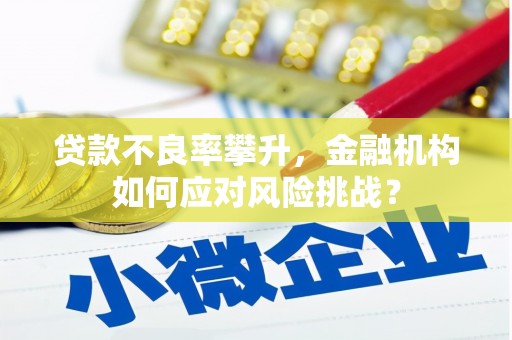 西岗贷款不良率攀升，金融机构如何应对风险挑战？