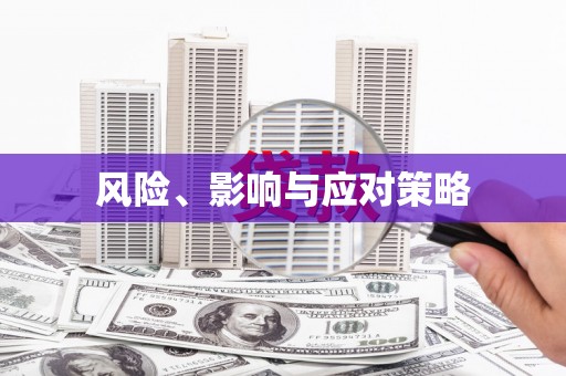安仁风险、影响与应对策略