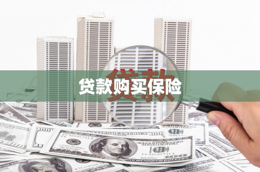沧县贷款购买保险