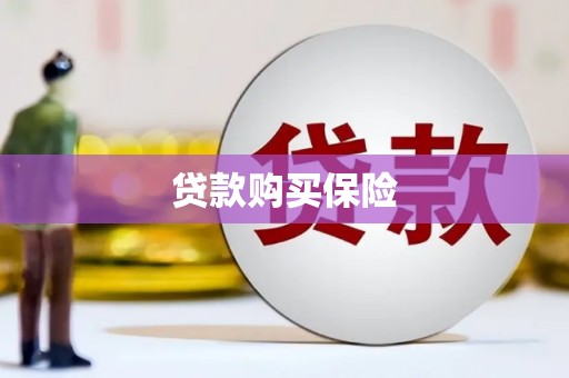 罗城贷款购买保险