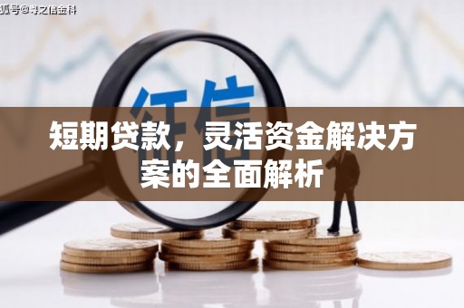蠡县短期贷款，灵活资金解决方案的全面解析