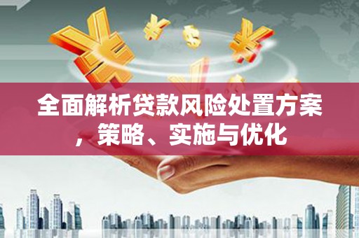 淳安全面解析贷款风险处置方案，策略、实施与优化