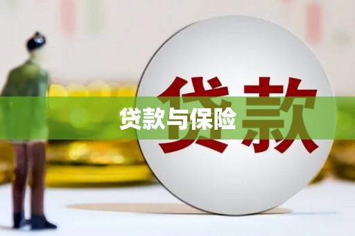 新安贷款与保险