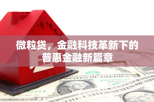 张掖微粒贷，金融科技革新下的普惠金融新篇章